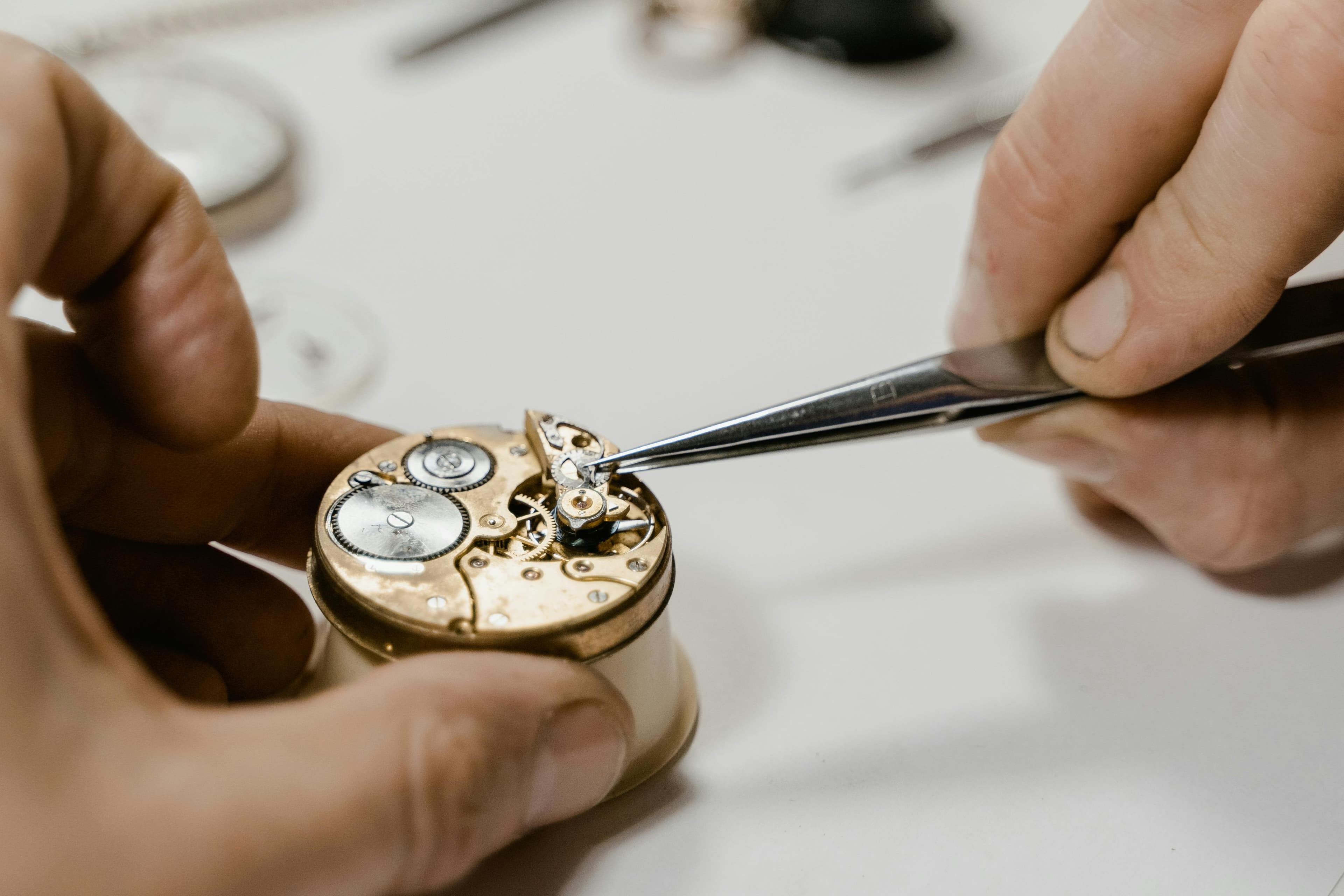 Close-up of hands using precision tweezers on an open watch movement in a case holder